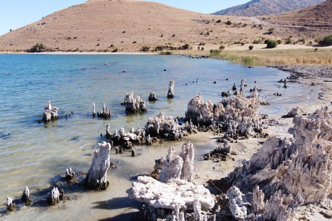 Microbialites seen on the shores of Lake Van, Türkiye, Oct. 17, 2022 (AA Photo)
