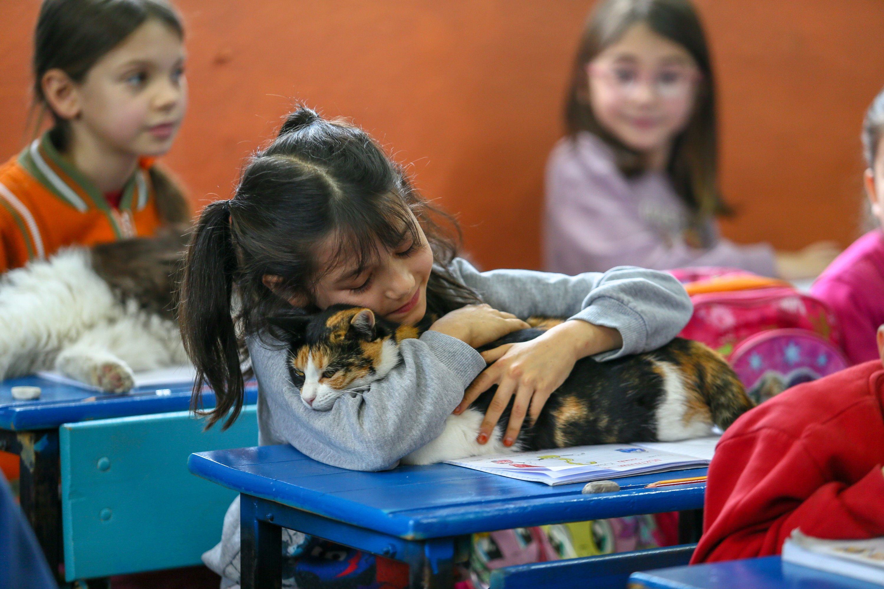A student embraces a cat inside the classroom, in Izmir, western Türkiye, Dec. 2, 2022. (AA Photo)