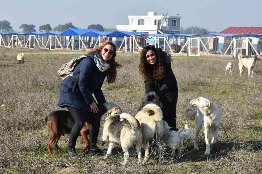 ‘Garden of mercy’ hosts disabled, attacked animals