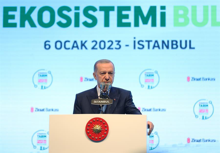 nyhetsvarsel-80x60-68 Türkiye prevented global food crisis through grain deal: Erdoğan