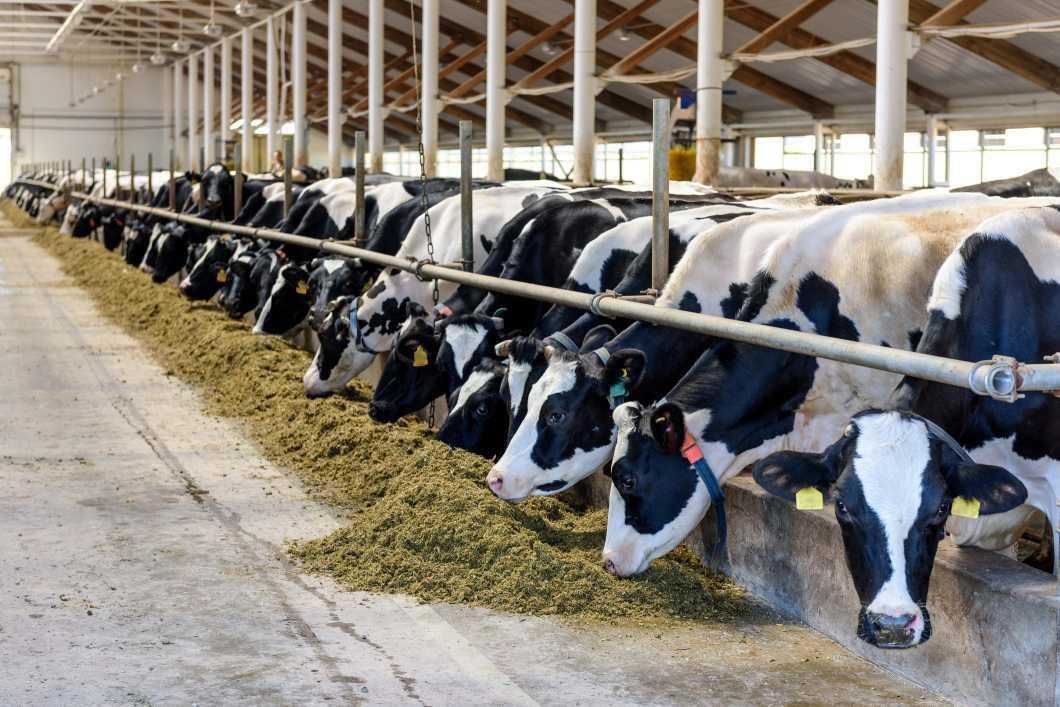 nyhetsvarsel-80x60-120 Milk production slowdown due to rise in production costs