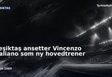 Beşiktaş ansetter Vincenzo Italiano som ny hovedtrener