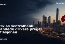 Tyrkias sentralbank: Blandede drivere preger inflasjonen