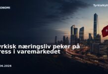 Tyrkisk næringsliv peker på press i varemarkedet