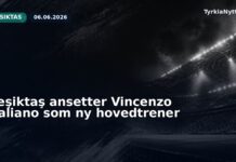 Beşiktaş ansetter Vincenzo Italiano som ny hovedtrener