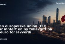 Den europeiske union (EU) har innført en ny tollavgift på 3 euro for lavverdi