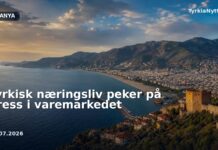 Tyrkisk næringsliv peker på press i varemarkedet