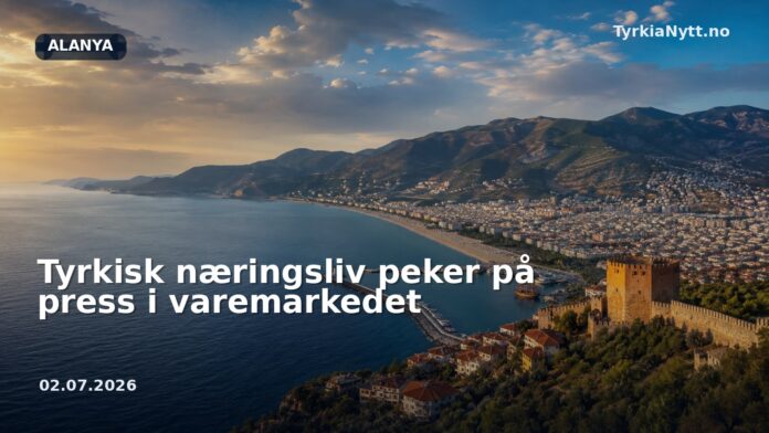 Tyrkisk næringsliv peker på press i varemarkedet