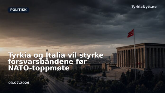 Tyrkia og Italia vil styrke forsvarsbåndene før NATO-toppmøte