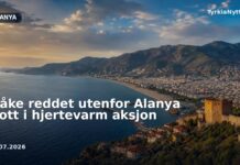 Måke reddet utenfor Alanya slott i hjertevarm aksjon