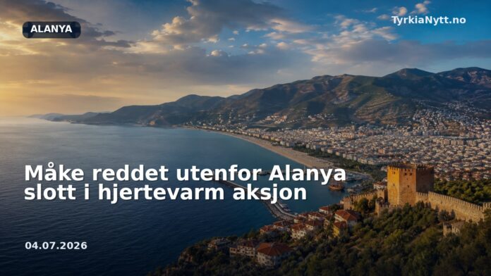 Måke reddet utenfor Alanya slott i hjertevarm aksjon